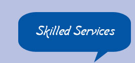 Skilled Services
